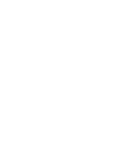 Sonidoa_White_Logo